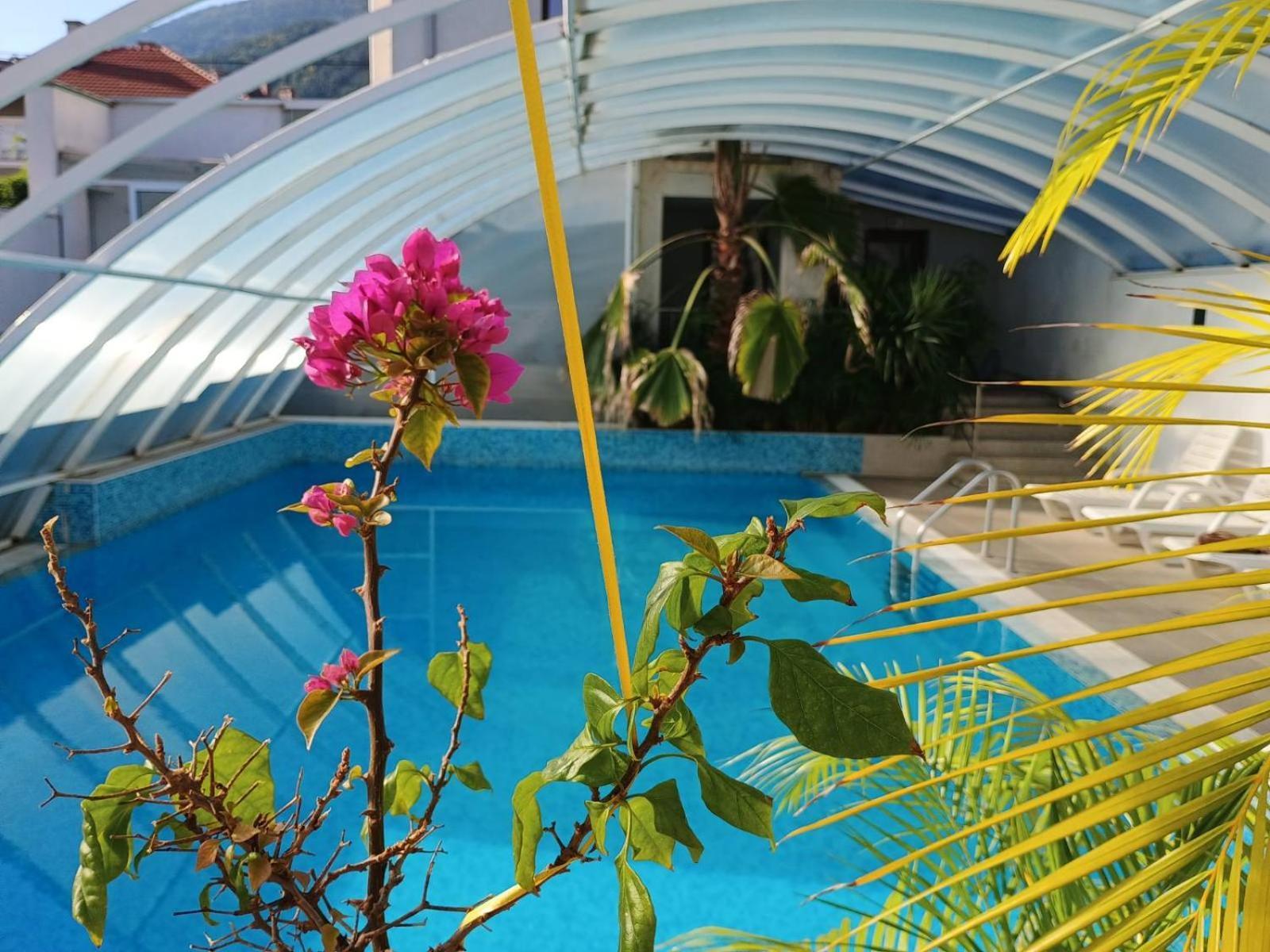 Enis Hotel С Минерален Басейн Sapareva Banya Extérieur photo