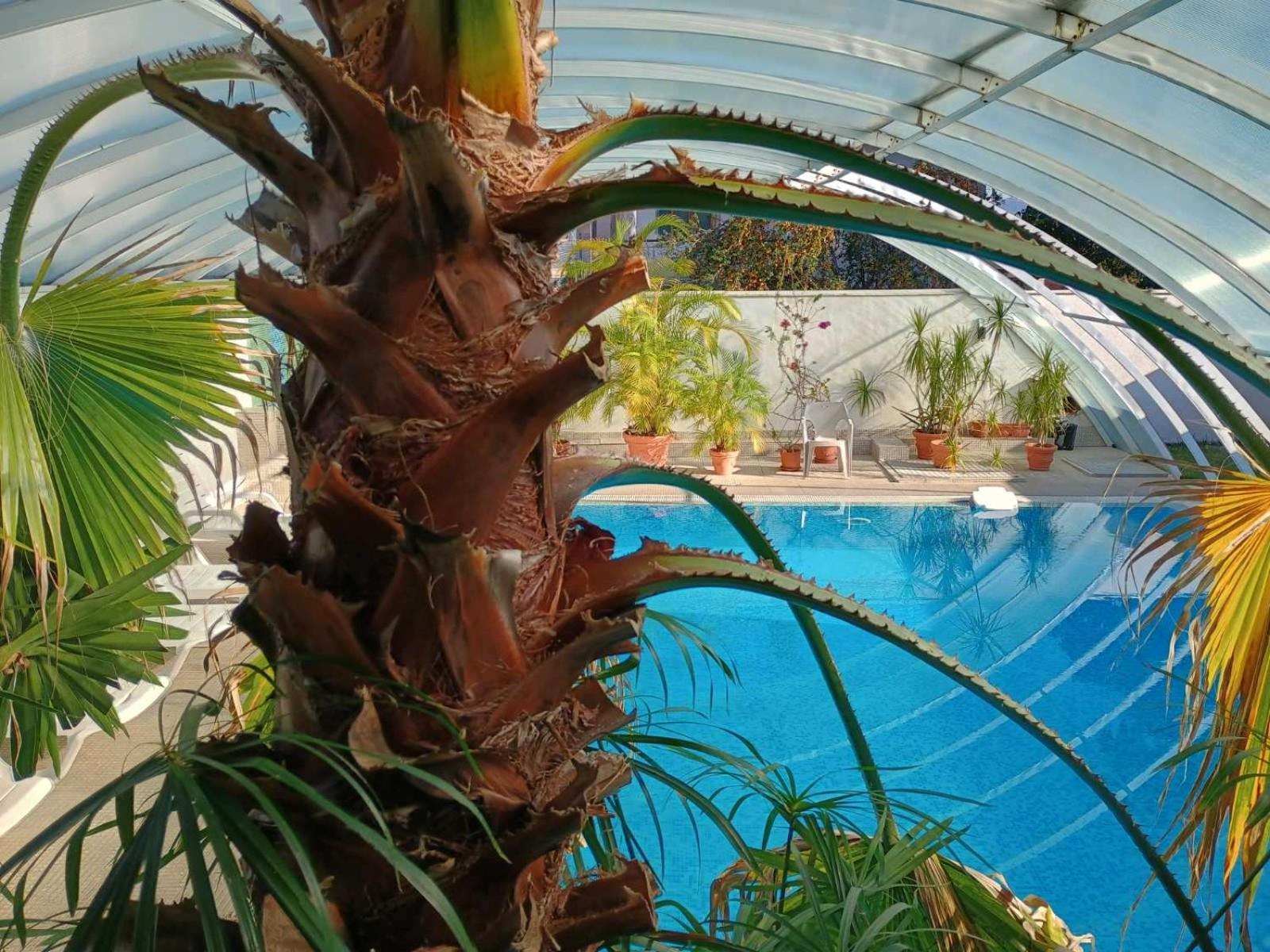 Enis Hotel С Минерален Басейн Sapareva Banya Extérieur photo